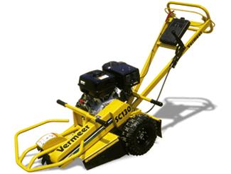 Rental store for Stump Grinder 13HP in Bensenville IL