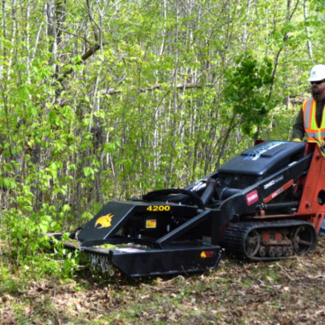 Rental store for Brush Mower 48  mini skid attachment in Bensenville IL